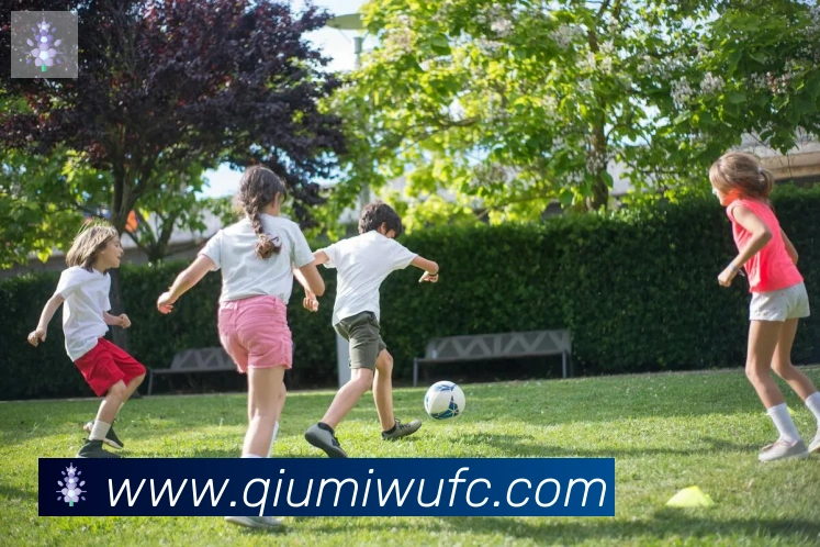 球迷屋服务体系