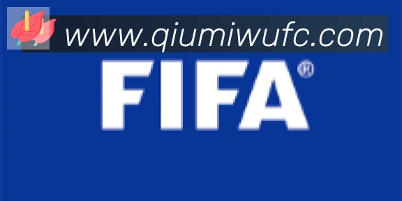 球迷屋合作伙伴